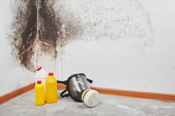 Best Mold Removal Process  in Moodys, OK