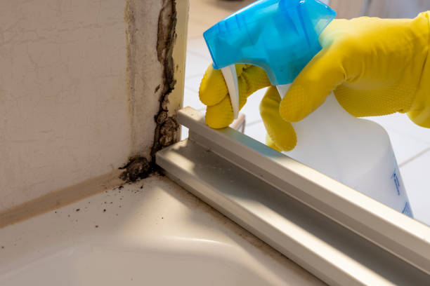 Best Mold Cleaning Services  in Moodys, OK