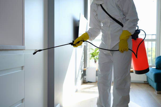 Best Certified Mold Removal  in Moodys, OK
