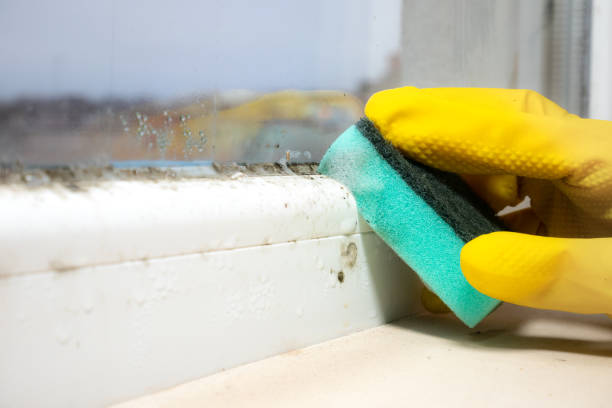 Best Toxic Mold Removal  in Moodys, OK