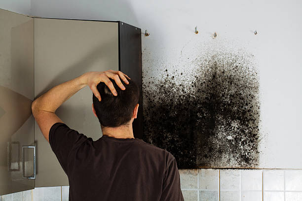 Best Emergency Mold Removal  in Moodys, OK